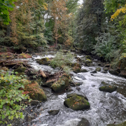 Breiter Fluss Wenn sie groß ist